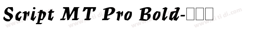Script MT Pro Bold字体转换